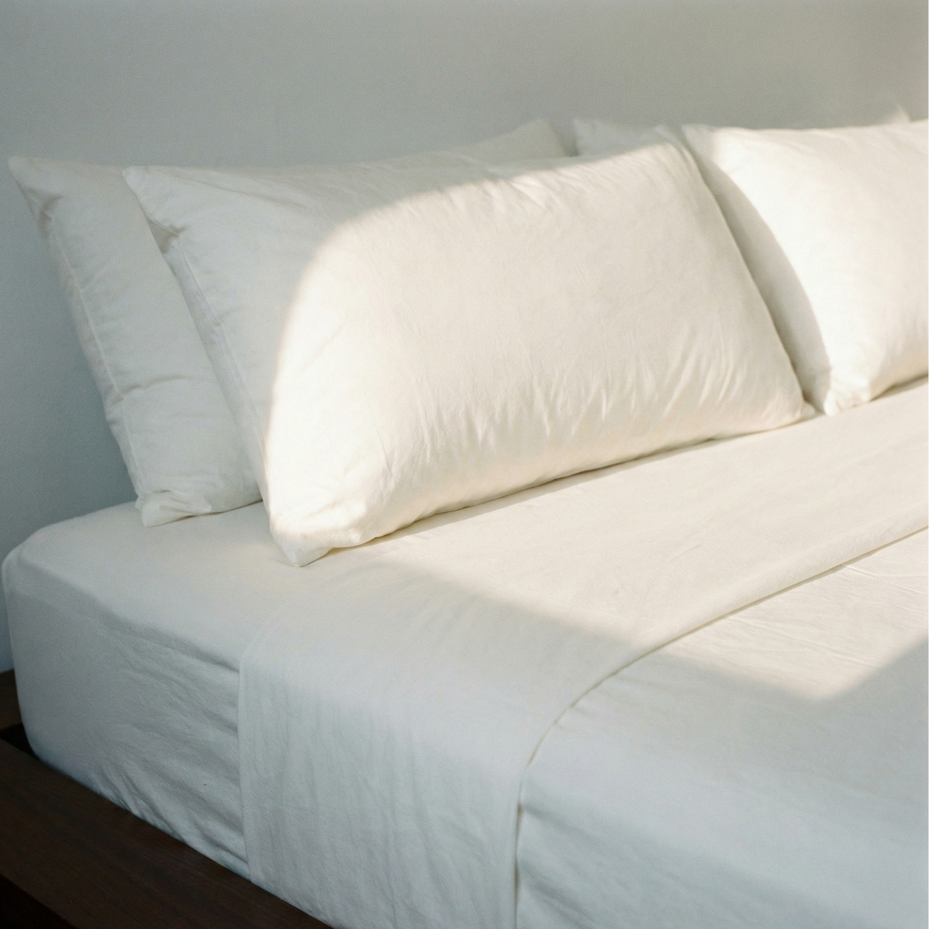 Organic Bamboo Pillow Cases